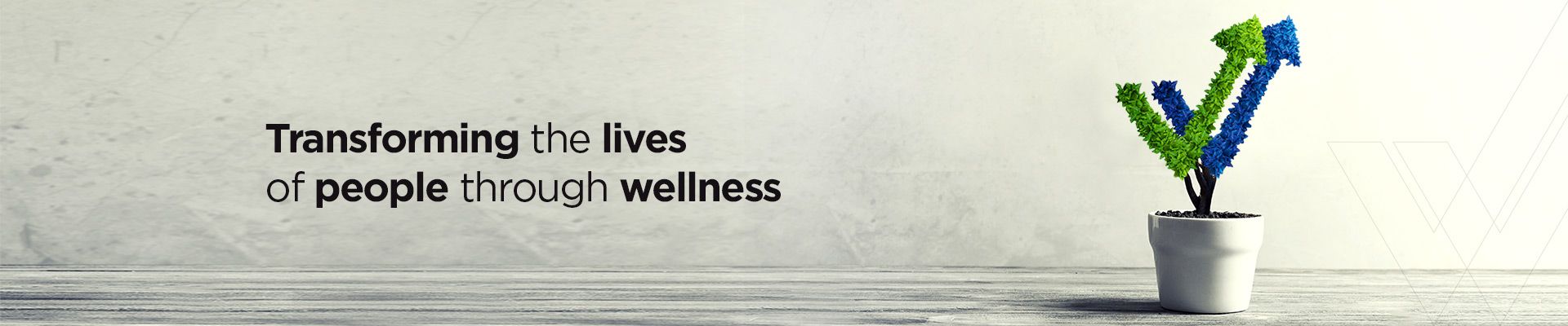 main banner